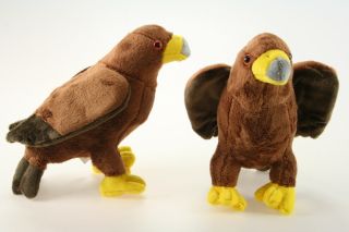 Obrázek z Orel hnědý plyš 16cm (6) 